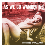 When It Breaks - Possessed By Paul James