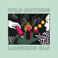 The World is a Hungry Place - Wild Nothing