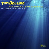 It Just Won't Do - Tim DeLuxe, Sam Obernik
