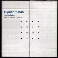 Rolling Dj Cam remix instrumental - Elysian Fields, DJ Cam