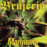 Pito Wilson - Brujeria