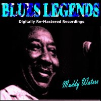 Rollin Stone - Muddy Waters