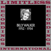 It Hurts Too Much To Laugh (And Too Big To Cry) - Billy Walker