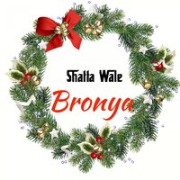 Bronya - Shatta Wale