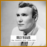 Funny How Time Slips Away - Billy Walker