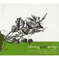 The Waltz - Diving With Andy