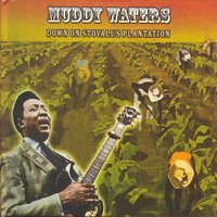 Take A Walk Whit Me - Muddy Waters