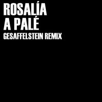 A Palé - Gesaffelstein, ROSALÍA