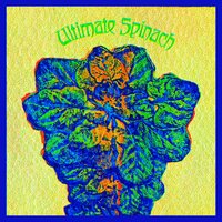 Plastic Raincoats - Ultimate Spinach