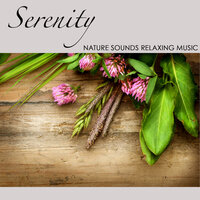 Serenity (Water Sound) - Meditation Relax Club