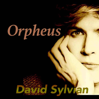 Taking The Veil - David Sylvian