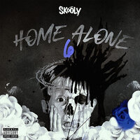 Home Alone - Skooly