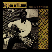 You Are My Sunshine - Big Joe Williams