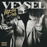 Nur ein Dieb - Veysel