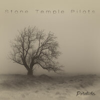 I Didn't Know the Time - Stone Temple Pilots