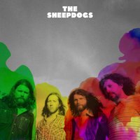 Alright OK - The Sheepdogs