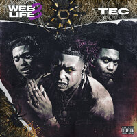 Poetic Web (Vibin) - Tec