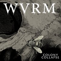 War Promise / Secessionville - WVRM