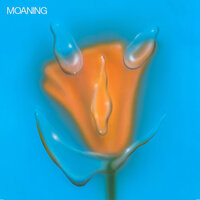 Say Something - Moaning