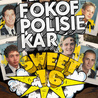 Verklaar - Fokofpolisiekar