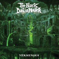 Removal of the Oaken Stake - The Black Dahlia Murder