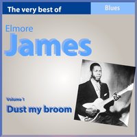 Please Find My Baby (Lost Woman Blues) - Elmore James