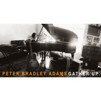 Upside Down - Peter Bradley Adams