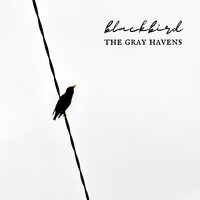 Blackbird - The Gray Havens