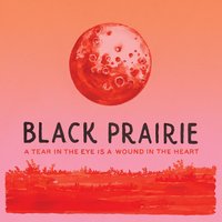 Richard Manuel - Black Prairie