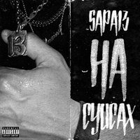 На суисах - SAPA13