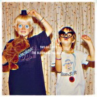 Halcyon Days - Two Gallants