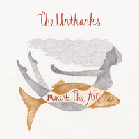 Flutter - The Unthanks