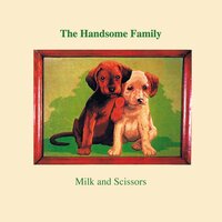 #1 Country Song - The Handsome Family