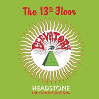 You Can't Hurt Me Anymore - The 13th Floor Elevators, Hall, Erickson