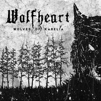 Hail of Steel - Wolfheart