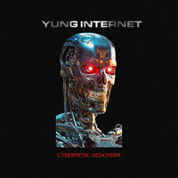 Facts - Yung Internet