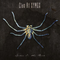 Spider on the Wall - Clan Of Xymox