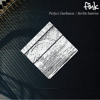 Perfect Darkness - Fink