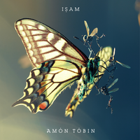 Wooden Toy - Amon Tobin