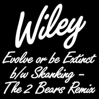 I'm Skanking - Wiley, The 2 Bears