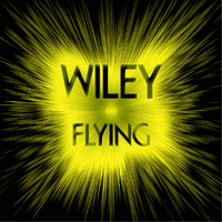 Flying - Wiley, CHIP, Maxsta