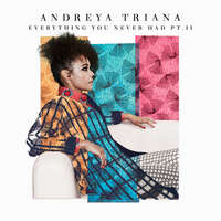 Everything You Never Had Pt. II - Andreya Triana
