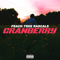 Cranberry - Peach Tree Rascals