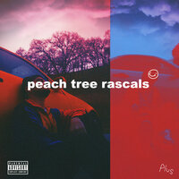 Plus - Peach Tree Rascals