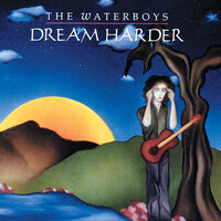 The New Life - The Waterboys