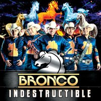 Echame a Mi la Culpa - Bronco