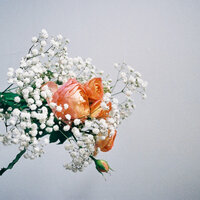 Flowers - Jye, Bradley Stone