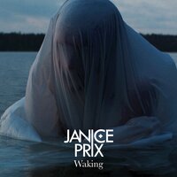 Waking - Janice Prix