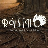 The Secret Life of Blue - Róisín O