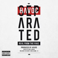 Separated (Real from the Fake) (Clean) - Havoc